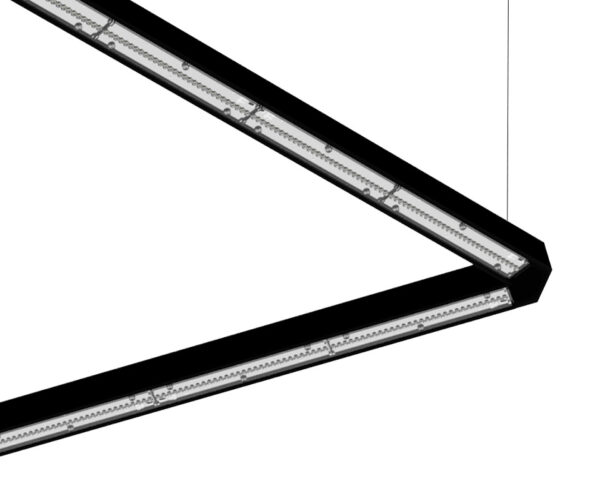 BERMUDES – Image 3