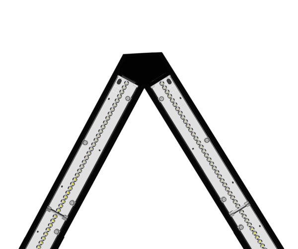 BERMUDES – Image 2