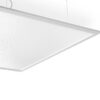 SCOOP – Image 2