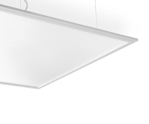 SCOOP – Image 2