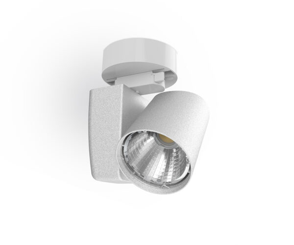 SPARE – Image 2