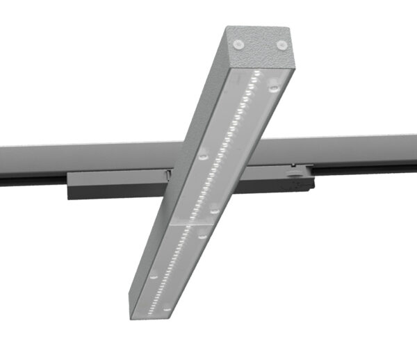 SPLINIE – Image 3