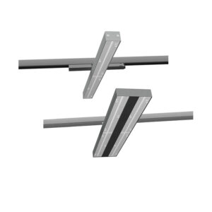 SPLINIE