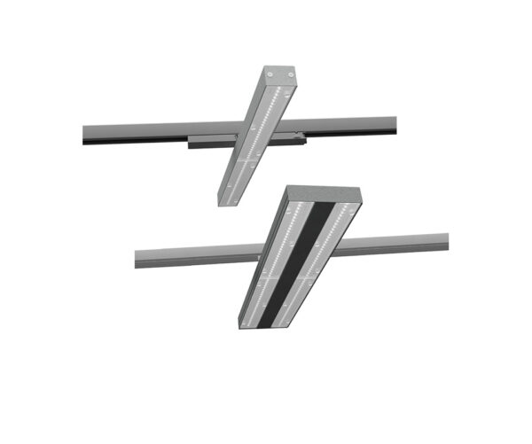 SPLINIE