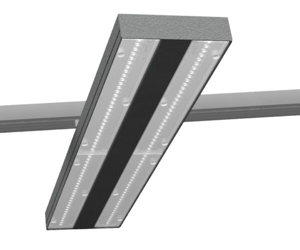 SPLINIE – Image 2