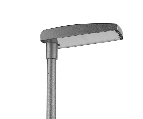 CRIOLLO – Image 3