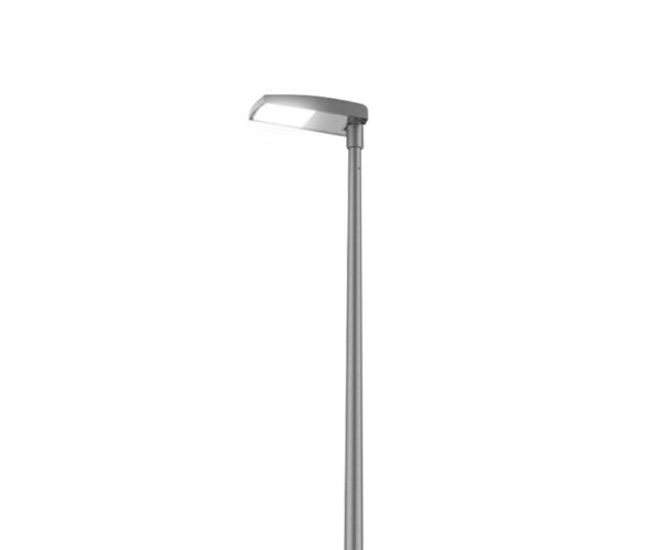 CRIOLLO – Image 2