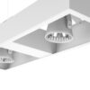 TWIN – Image 2