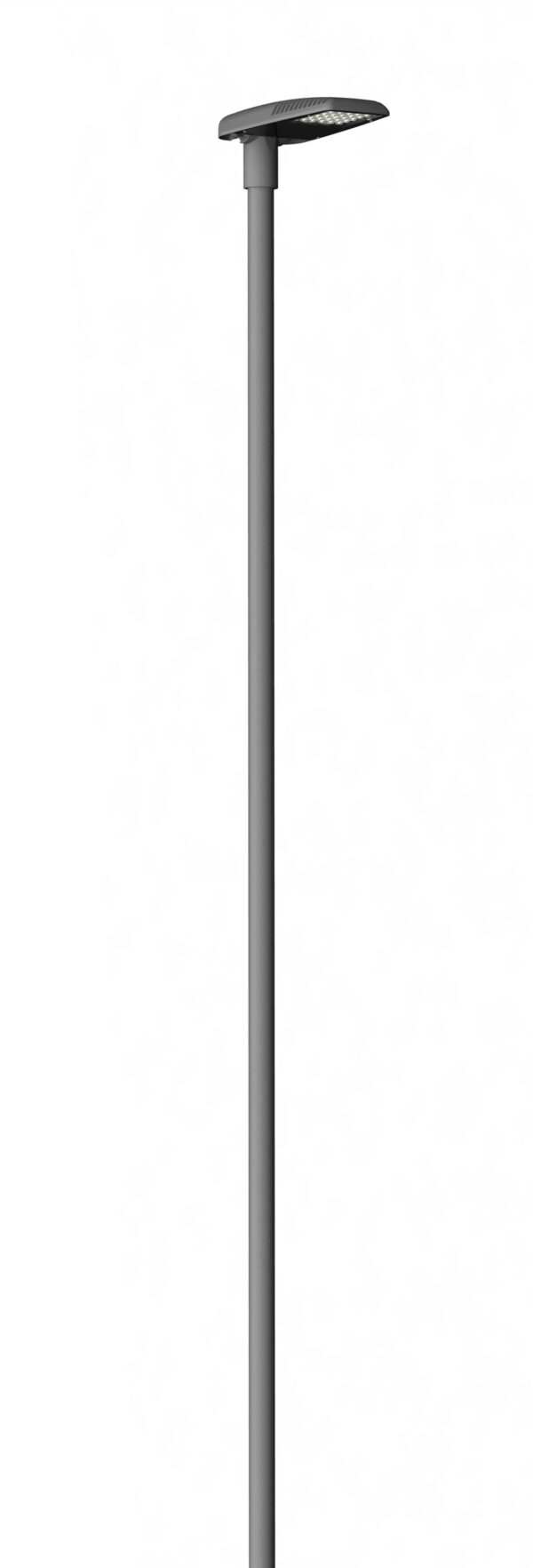 CRIOLLO MINI – Image 3