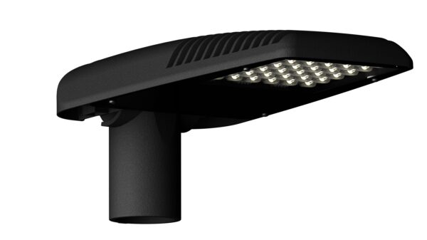 CRIOLLO MINI – Image 4